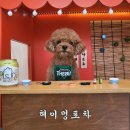 헤이멍 이미지