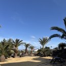 르블랑펜션 | 제주 애월 오션뷰펜션 제이르블랑 수영장 오션뷰 만점 숙소