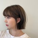 가벼운 칼단발 스타일 태슬컷 / 어몽헤어 정소희