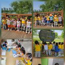 배다리어린이집 이미지