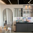 애견카페 제니콩콩 이미지