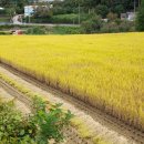 산내농장 이미지