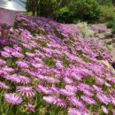 여산농장 이미지