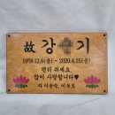 파주수목장 | 나무로 만든 수목장 명패 제작 후기 다양한 글씨체와 문구(납골당 명패 비교 사진)