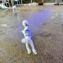 주인아 미용하고가 이미지