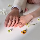 장미화원 | 오이 화원 핑크 장미 부케 친구 선물해 준 후기