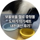 보울보울 고양이 강아지 도자기 식기 헬로 중형볼 내돈내산 후기