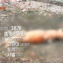 조성수농장 이미지