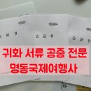 명동행정여행사
