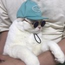 찰나의오늘