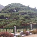 일광식당 이미지