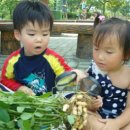 아인농장 이미지