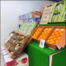 호남청과 | 광주과일 과일총각 호남청과에서 경험한 ‘진짜 신선...과일의 신뢰를 느낄 수 있었던 겨울 과일 구매 후기