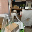 평촌대로396번길 이미지