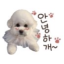 포마이댕 이미지