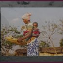 무창 농촌체험 휴양마을 이미지