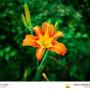 금륜사 | 양산 금륜사 방문 후기- 니콘 ZF + 40MM F2