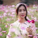 꽃과사랑 네이버블로그