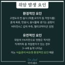 닥터쉐프 이미지