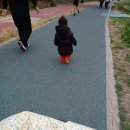 장미 공중화장실 | 불광천 벚꽃 아이랑 가기 좋은 이유 (인근 주차장 정리 &amp; 불광천 벚꽃축제 10cm 공연 기억까지)