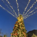 드림 | 계룡산글램핑 파크오브드림 후기 아이랑 크리스마스 글램핑 제대로 즐긴 곳