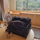 덴바스타호텔 이미지