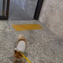 베스트프렌드 동물병원 이미지