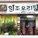 진남오리