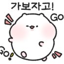 오늘의 마이핏 이미지