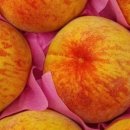 신선농산