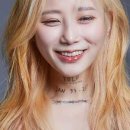데이민