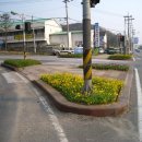 롯데마트사거리(롯데마트앞 교통섬) 이미지