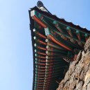 봉수목장 | 제주 서쪽 여행지 코스 갈만한곳 | 명월성 협재일몰 | 한림 가볼만한곳