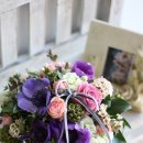 봄의 플로라 이미지