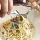 파파쿠치나 이미지