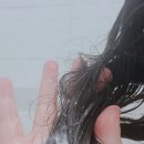 쇼마헤어 네이버블로그
