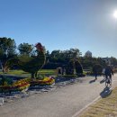 유림공원 국화축제, 유성국화전시회 후기, 주차팁, 한밭대로를 건너 반대편에 있는 유림공원 가는 방법!