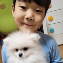 야옹아멍멍해봐 - 평택시 은실고가길 179 | 야옹아멍멍해봐