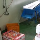 장경희농장 이미지