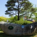 우포늪생명길 이미지