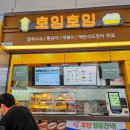 호잉호잉-서울방향
