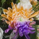 장안화원 이미지