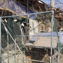 정자리농장 이미지