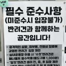38.5DOG 티스토리