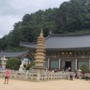 플라이항공