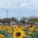 코레일유통(경북) | 경주 기차표 싸게 예매하는 법 (KTX 할인 꿀팁) | 2025 반하다! 경북 3UP! 후기