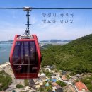 춤추는 바다분수 | 목포 여행 낮엔 해상케이블카 밤엔 바다분수까지 완벽했던 하루