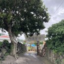 낭안트레 민박 이미지