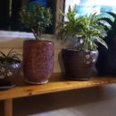 (주)우드팜 이미지