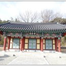 죽정 이미지